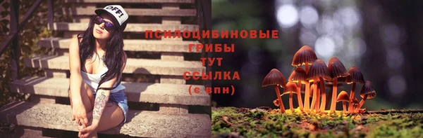 твердый Алексеевка