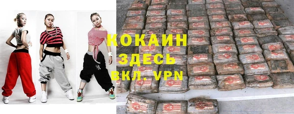 твердый Алексеевка